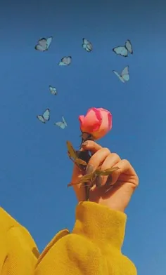 🦋