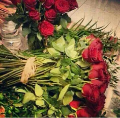 این گلهاتقدیم به همه دوستای گل ویسگونم .....من حضورخودم ر