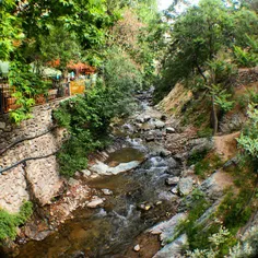 #dailytehran #nature #river #green #Darake #Tehran #insta