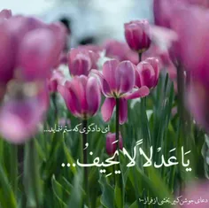 عکس نوشته shahide25 27882183