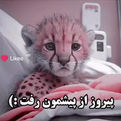 پیروز فرشته ی ایران بود😪😭😭😭