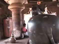 خادم معبد گاوپرستی در هند