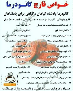 خواص اعجاب انگیز قارچ گانودرما 