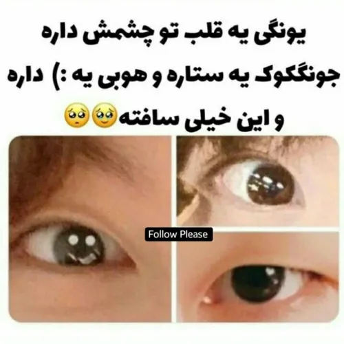 کیوتی ها 🦋