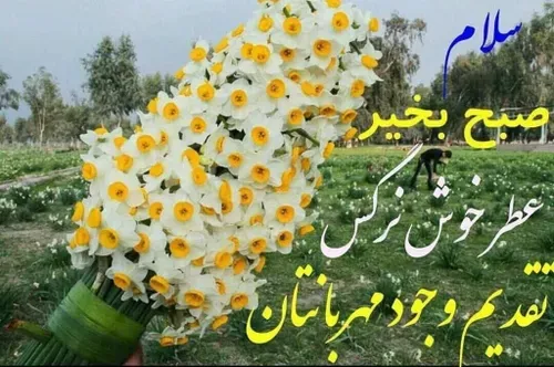 💙بسم الله الرحمن الرحیم💙