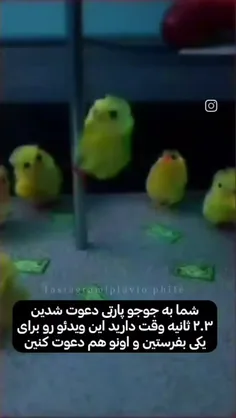 جوجو پارتیییی صفاااا باشد😂😔🐣