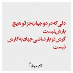 دلی که در دو جهان جز تو هیچ یارش نیست