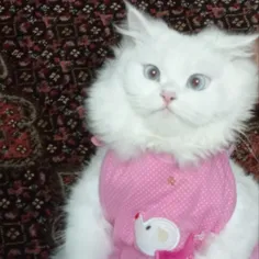 ملوس