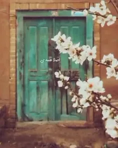 🍃🦋 اصلا همه مزه بهار 