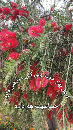 تقدیم عزیزان❤️❤️🌹🌹🌹