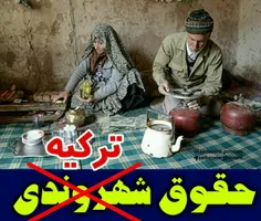 ‏بیشتر از 35٪ از روستائیانمون روزگارشون با یه پیک نیک یا 