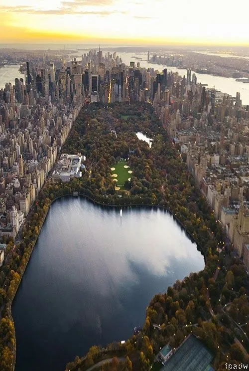 Top View of Central Park Manhattan, New York City