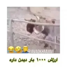 دوبله باحال ببین 🤣🤣🤣😃😄😆😂😁😁🤣😅