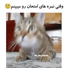 خوب اهنگی براش انتخواب کردن🤣🤣😂