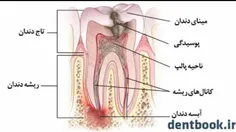 سلامت و تندرستی behnaz2014 19033326