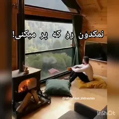 بدون شرح :