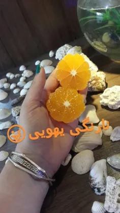 #نارنگی #خوشمزه #میوه #خوراکی #شقایق #شیراز #ماهی #صدف