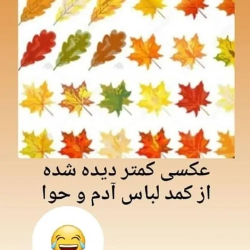  niimii 42425227 - عکس ویسگون