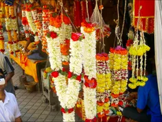 گلهای مخصوص که در هند این گلها را برای خدایان در معابد می