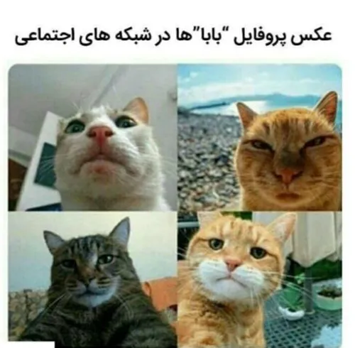 تو ایران ما بیشتر شاهد اون بالایی دست راستی هستیم 😂 😂