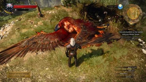 the witcher 3😍 😍