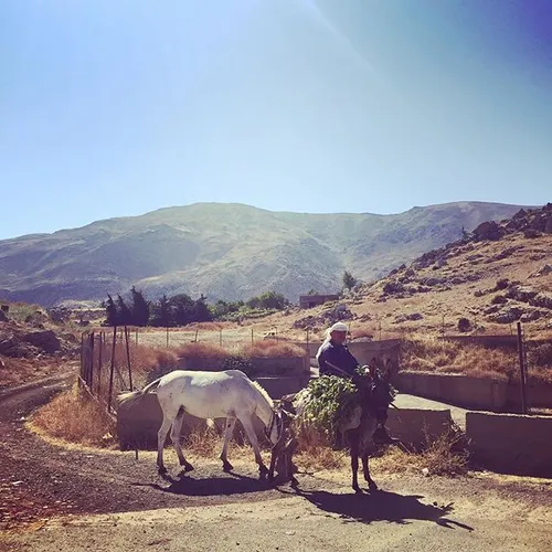 A Druze Sheikh rides his donkey in the village of Ain Aat