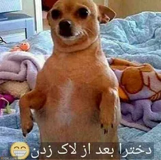 خخخخخخخ