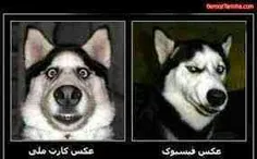 آره