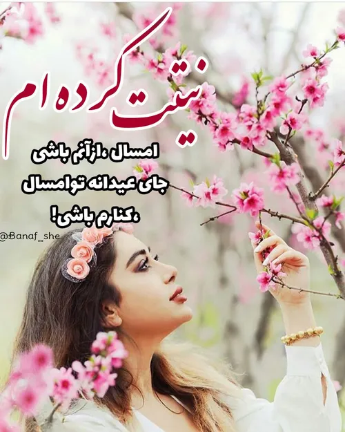 گوناگون sarayaroman 23220376 - عکس ویسگون