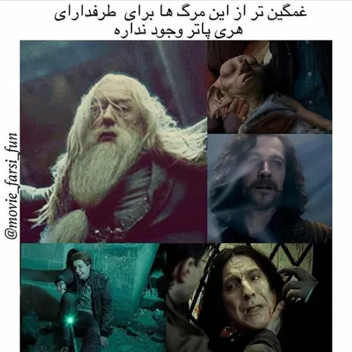 harrypotter