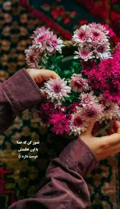 🌹عکس های ناب وزیبا🌹