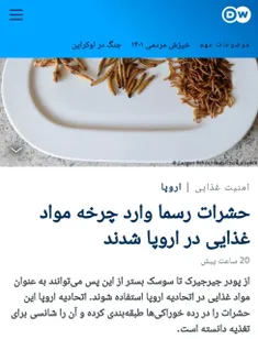 الان وضعیت توی اروپا به جایی رسیده که ملت به سوسک خوری افتادن، ولی غرب پرستا دنبال راهی واسه تطهیرشون می‌گردن