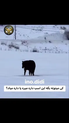 🗣️:بی تی اس همشون گی آن!