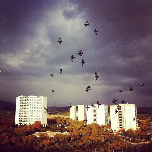 The cloudy autumn sky of Tehran. Iran. Photo by Payam Ham