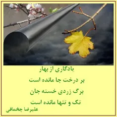 برگِ زردی خسته جان ...