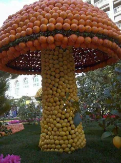جشنواره پرتقال در هند