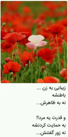 عاشقانه ها hosseinnaseri1300 20207065