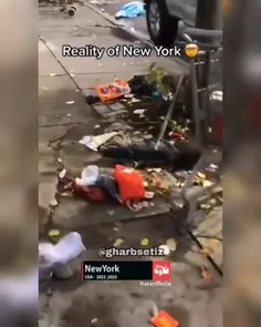 🔴 نیویورک از دید دوربین شهروندانش