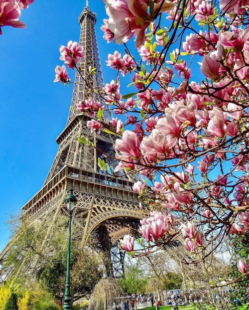 🌏 tour eiffel 🌏