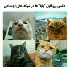 حقیقت تلخ😐😂