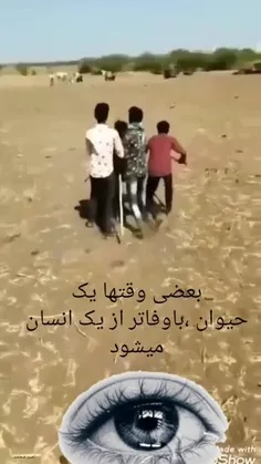 وفاداری حیوان......