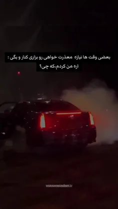 سعی نکن بی نقص باشی، 