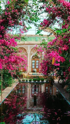 #ایران_زیبا #هتل_کاشانه_یزد