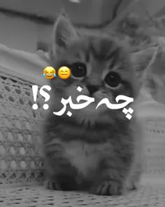 خداییش راس میگه😑😑