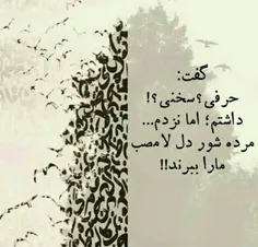 گفت : حرفی؟