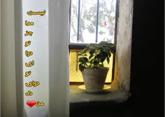 هنر عکاسی simsa 18812061