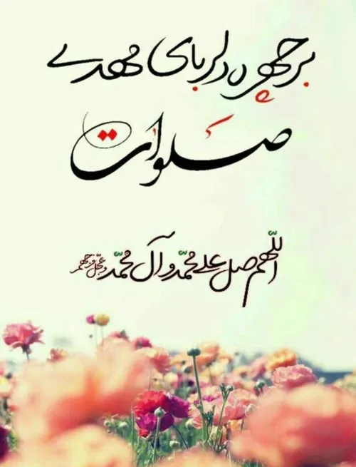  amir13611455 64169121 - عکس ویسگون