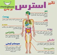 تاثیر استرس بر بدن