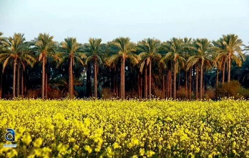 ایران زیبای ما...