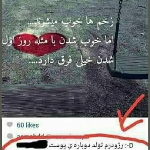 خخخخخخخخخخ